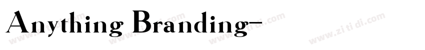 Anything Branding字体转换
